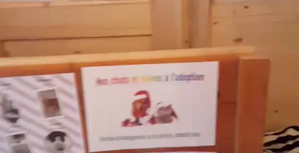 Marché Noël d' Avesnes sur Help 2017